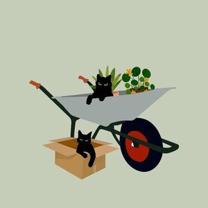 Nature Lovers $25 Mystery Box